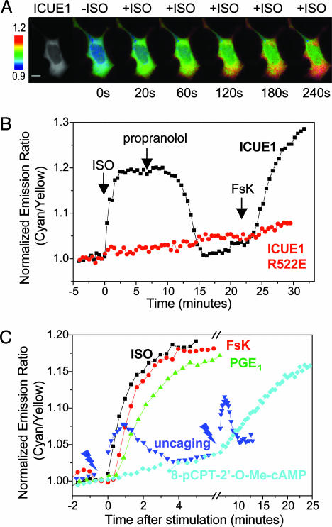 Fig. 2.