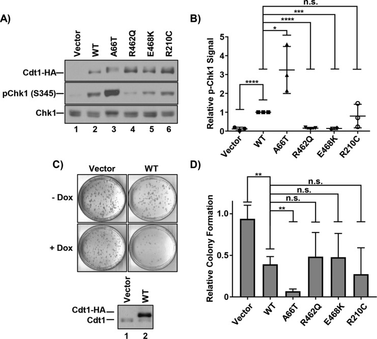 FIGURE 2: