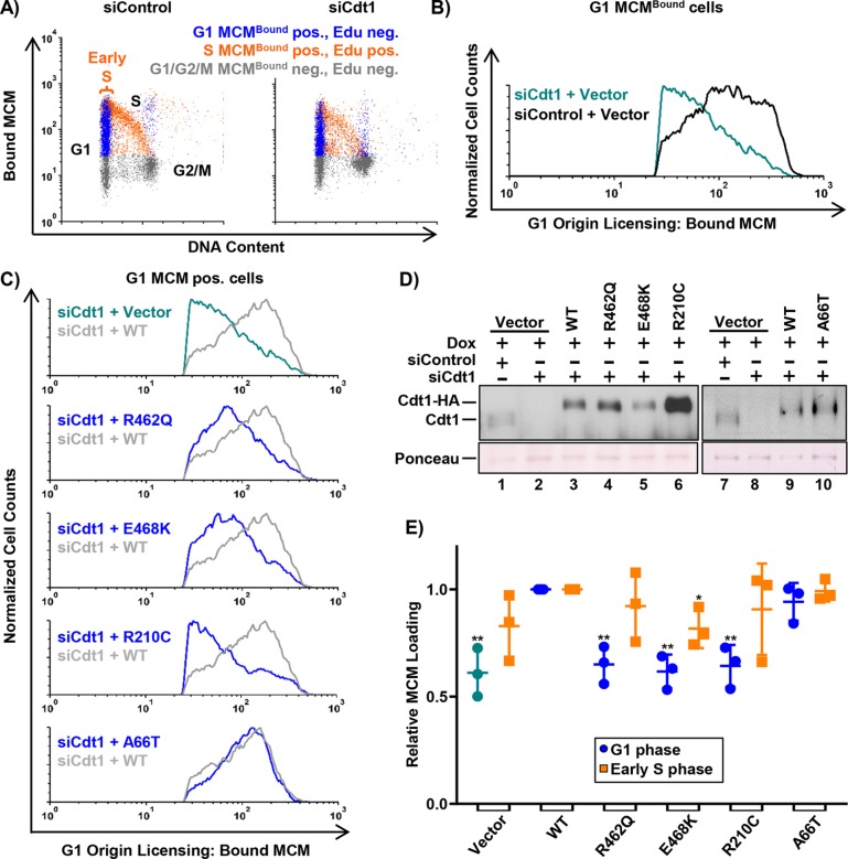 FIGURE 3: