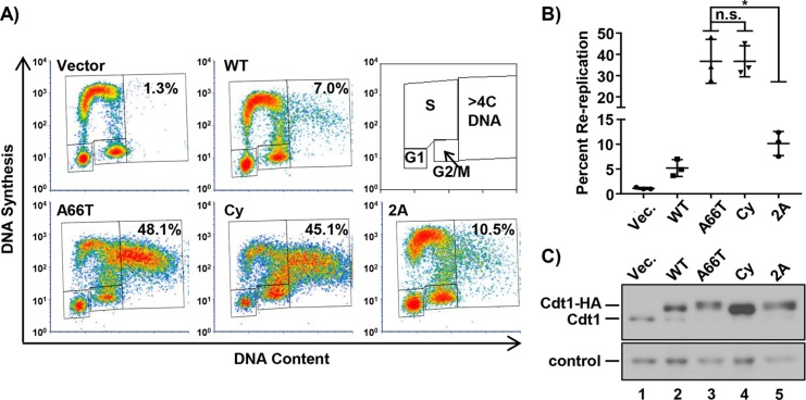 FIGURE 6: