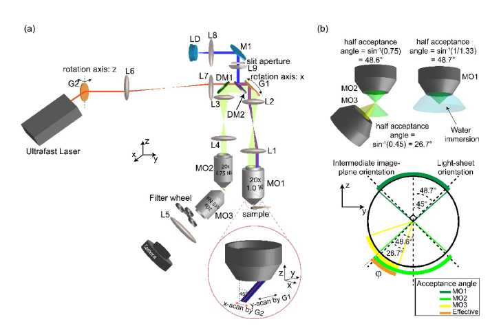 Fig. 3