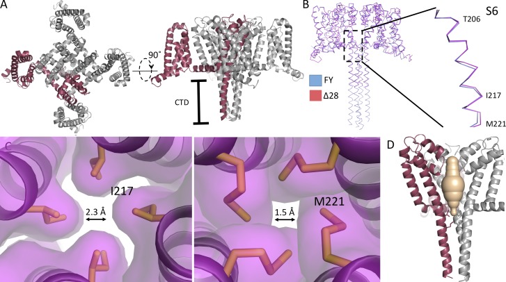 Figure 6.