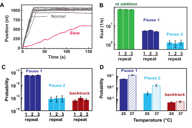 Figure 2—figure supplement 2.