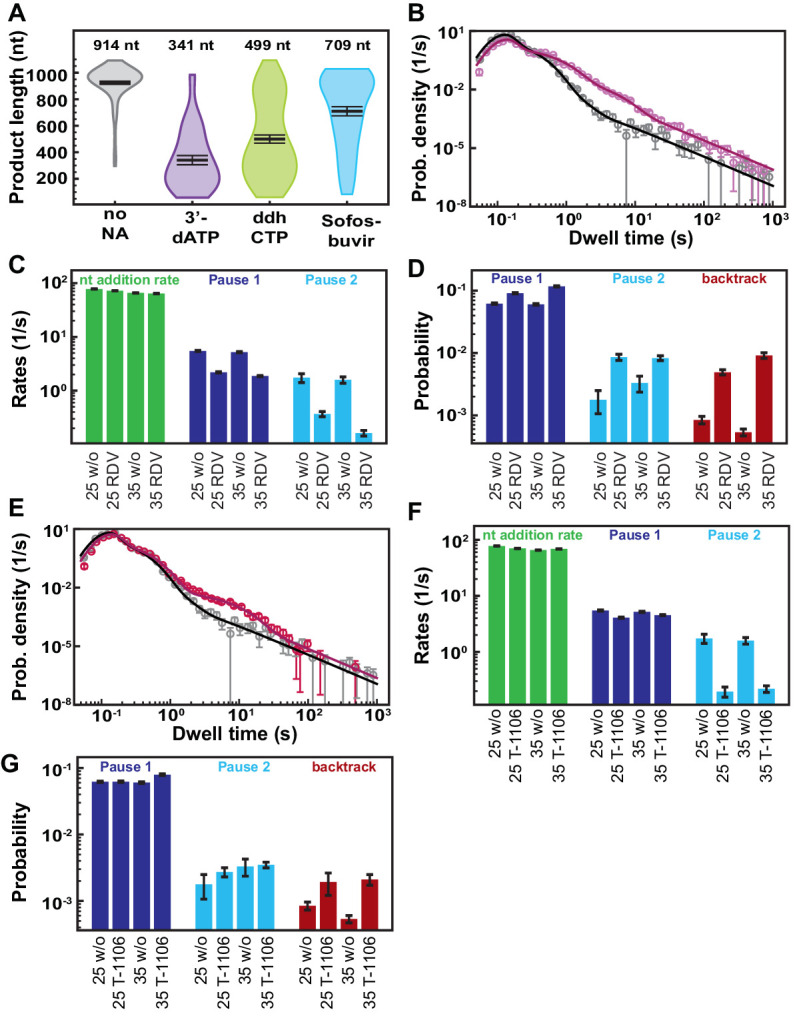 Figure 2—figure supplement 4.