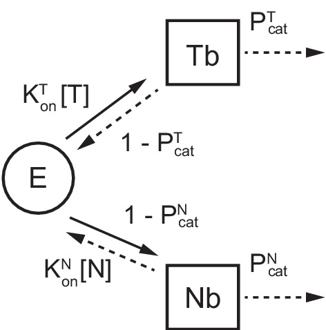 Figure 2—figure supplement 3.