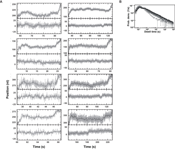 Figure 3—figure supplement 1.