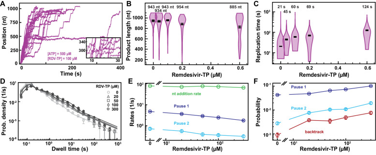 Figure 3—figure supplement 2.