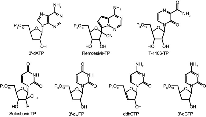 Figure 2—figure supplement 1.