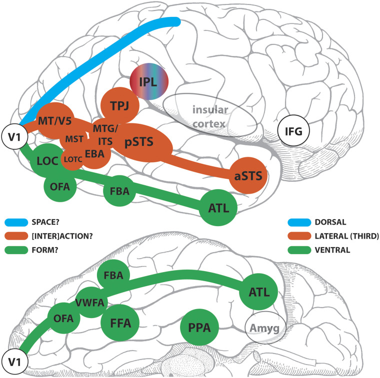 Figure 11. 