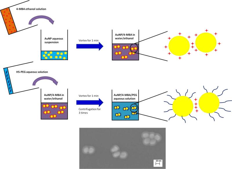 Schematic 1