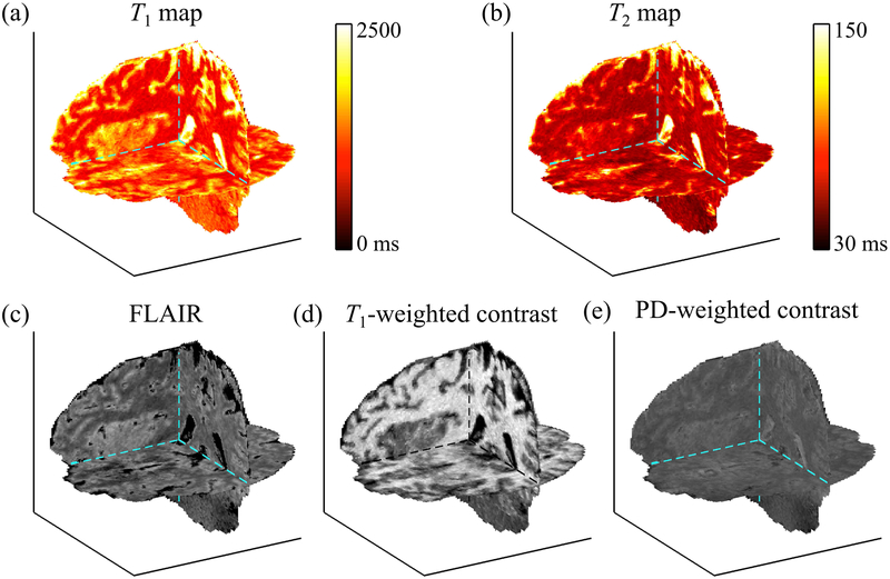 Fig. 7: