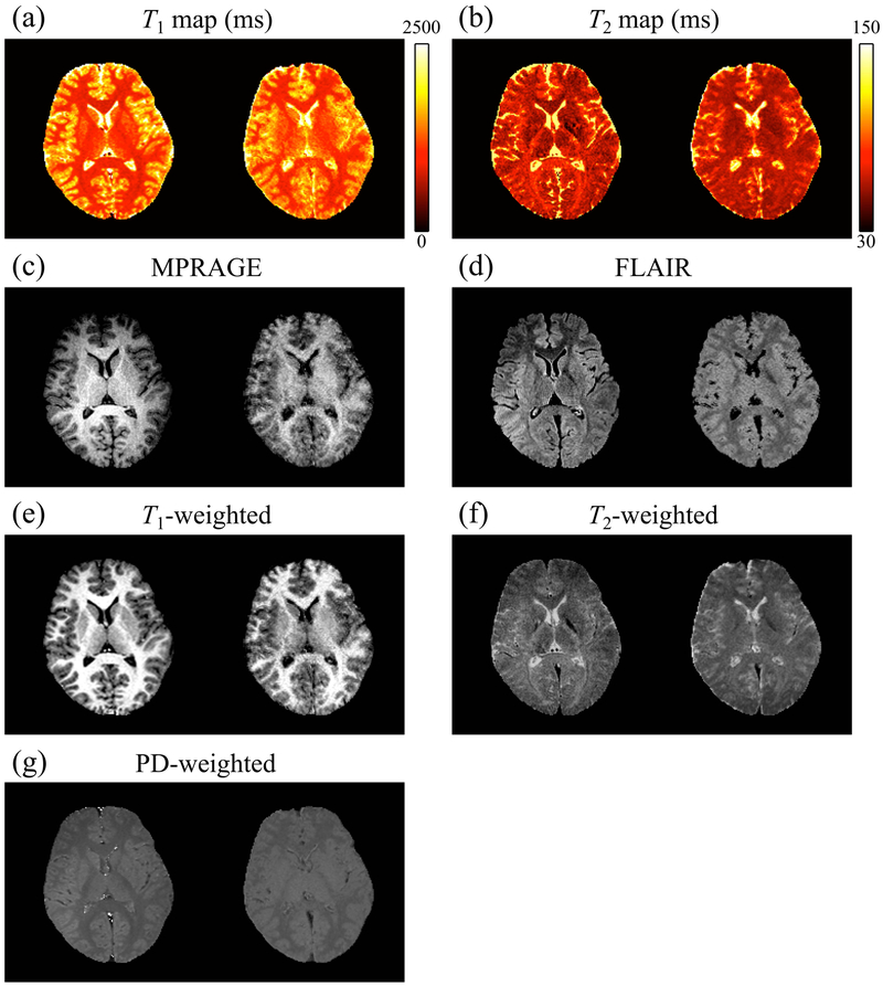 Fig. 8: