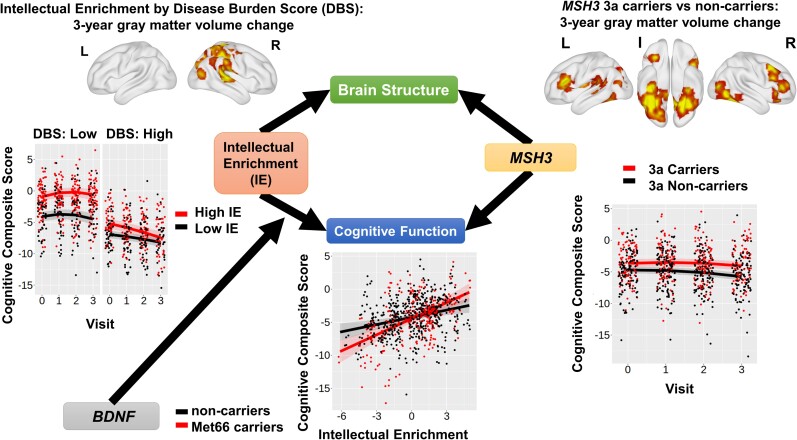 Graphical abstract