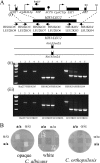 Fig. 3.