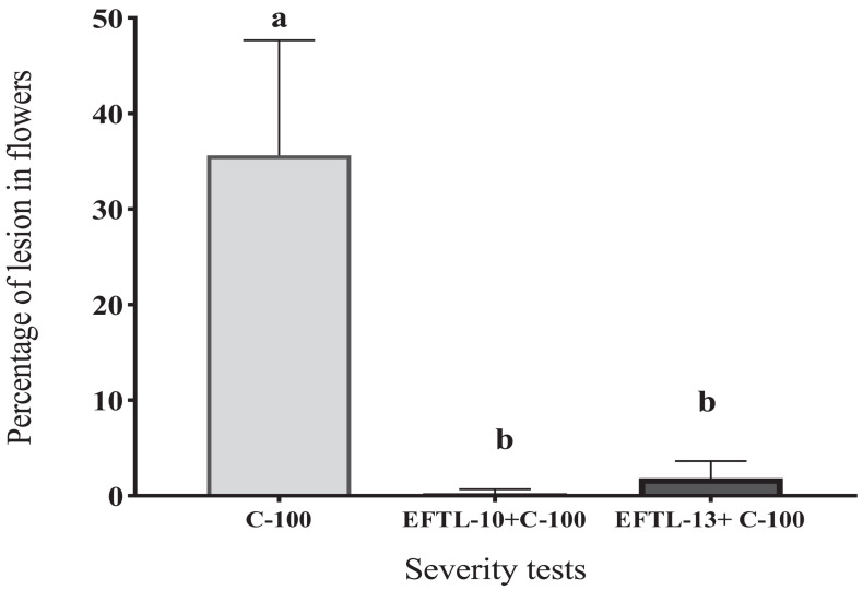 FIGURE 4