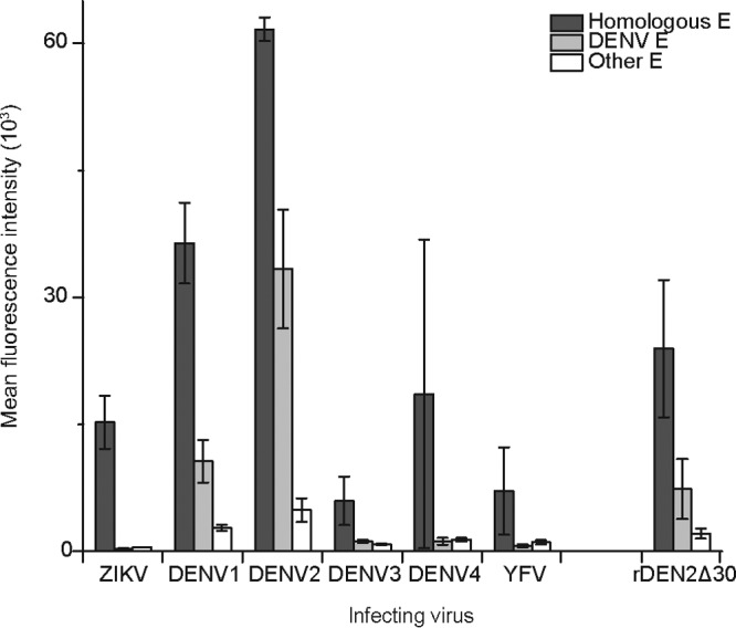 FIG 5