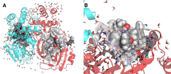 Fig. 1