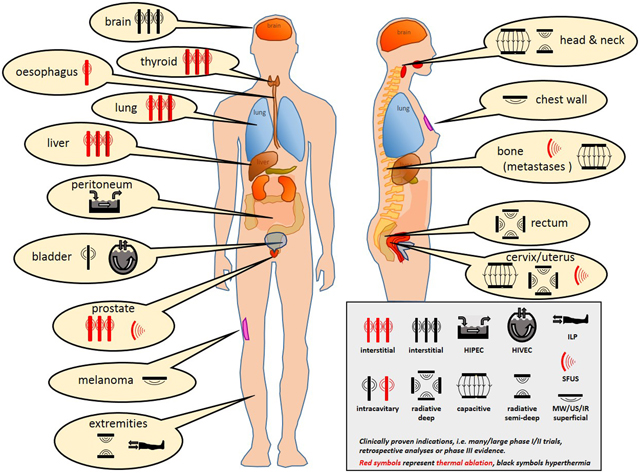 graphic file with name nihms-1648238-f0001.jpg