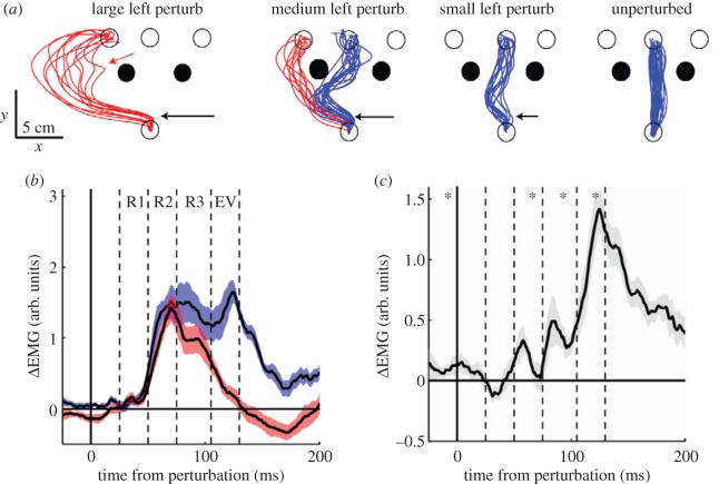 Figure 4.