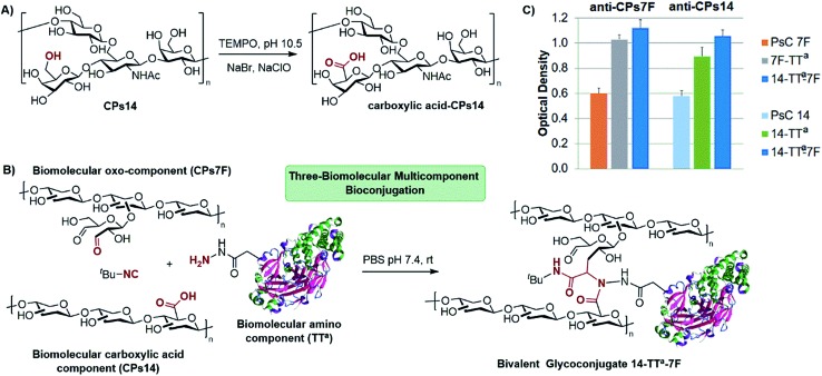 Scheme 3