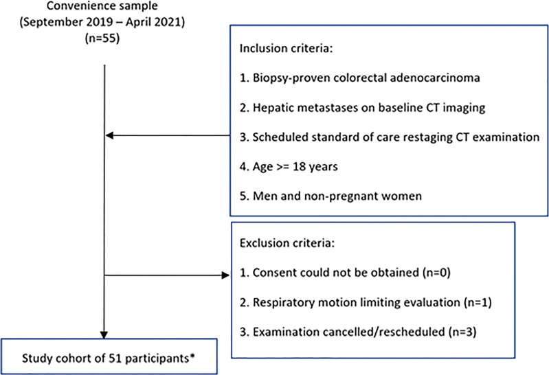 Study flowchart. * = Eight participants were found to have no lesions that fulfilled the study criteria, and two participants were excluded from lesion detection data because they had more than 20 liver lesions. Images from those participants still underwent qualitative and quantitative assessments.