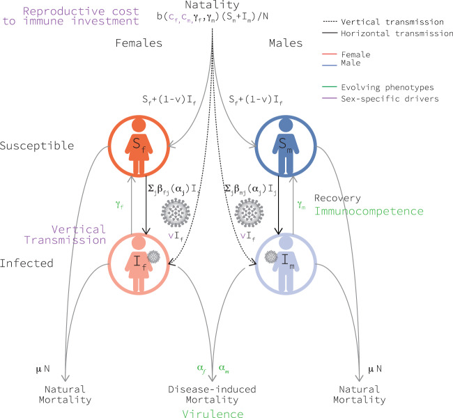 Fig. 7