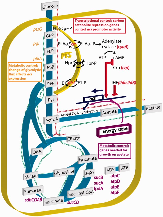 Figure 6.