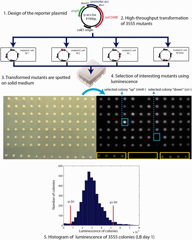 Figure 1.