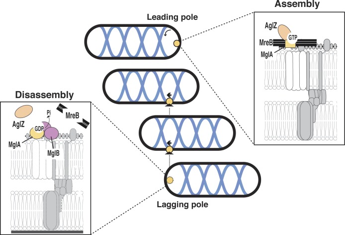 Figure 10.