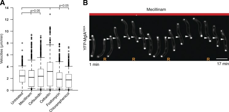 Figure 9.