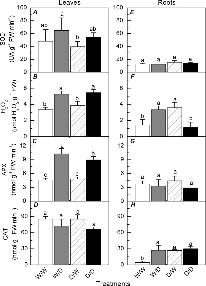 Fig 7