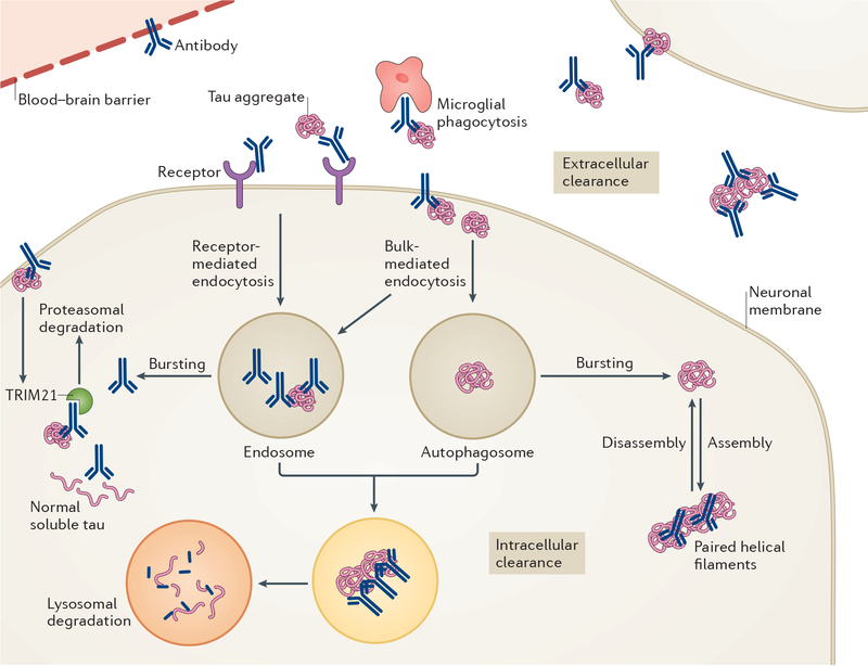 Figure 3 |