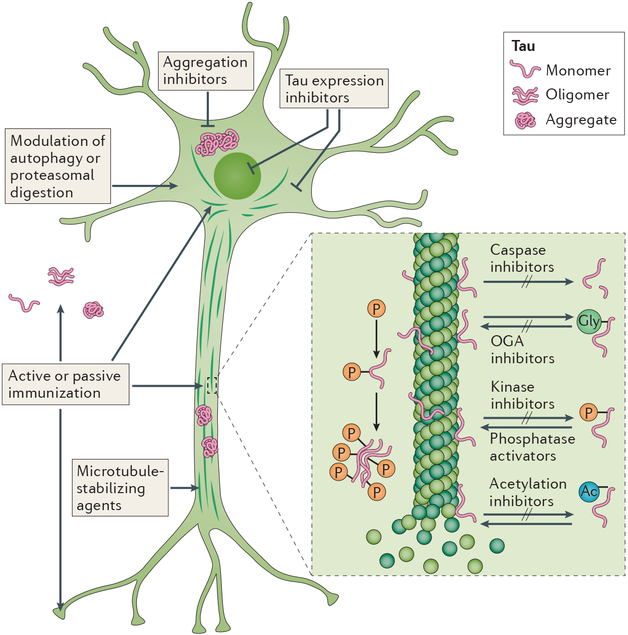 Figure 2 |