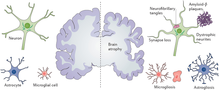 Figure 1 |