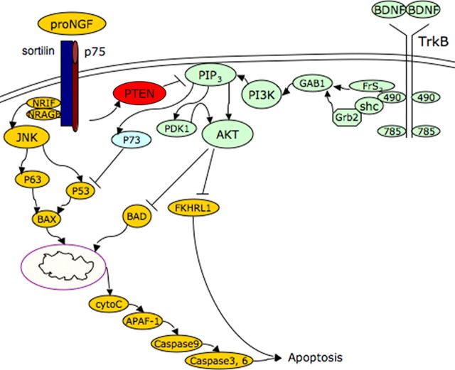 Figure 7.