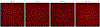 Figure 9.