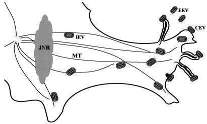 FIG. 11