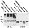 FIG. 7