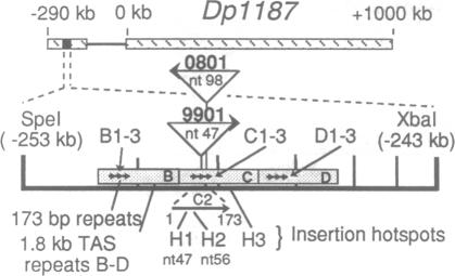 graphic file with name pnas01141-0324-a.jpg