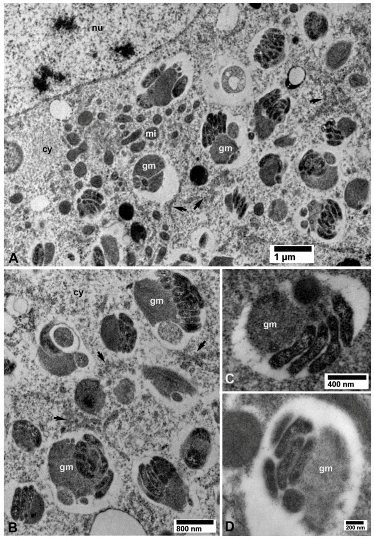 Figure 10