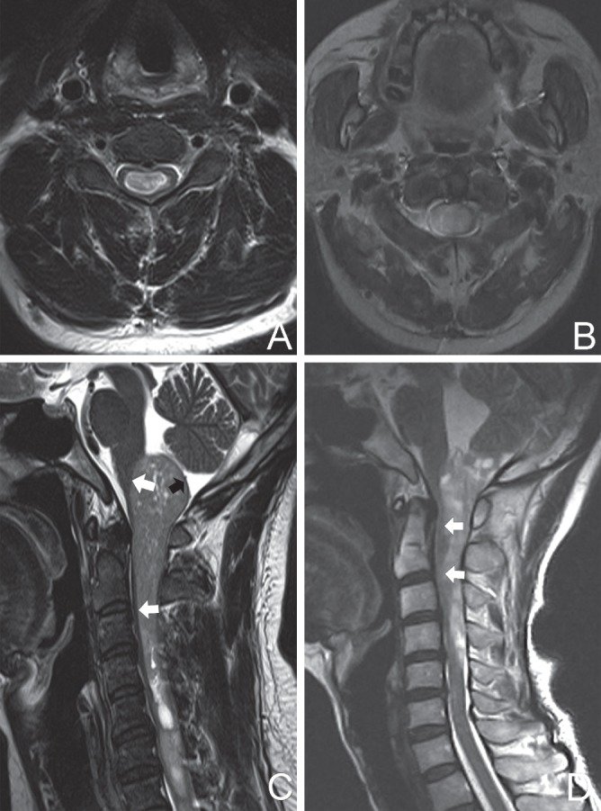 Fig. 5