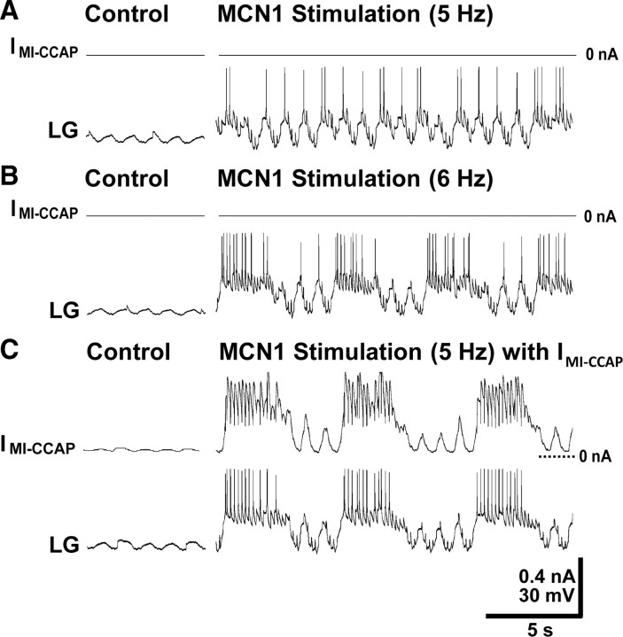 Figure 10.