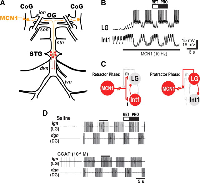 Figure 1.