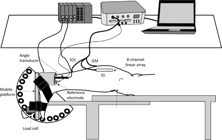 Fig. 1