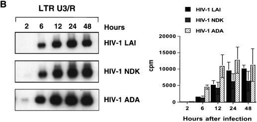 FIG. 7