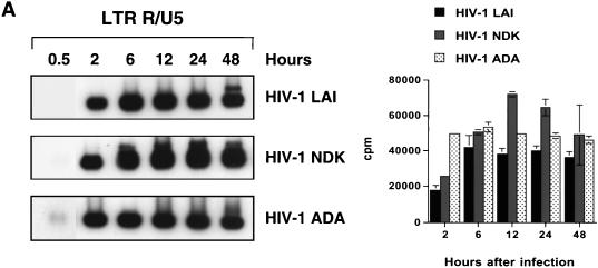 FIG. 7