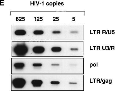 FIG. 7