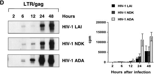 FIG. 7