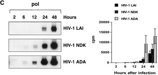 FIG. 7