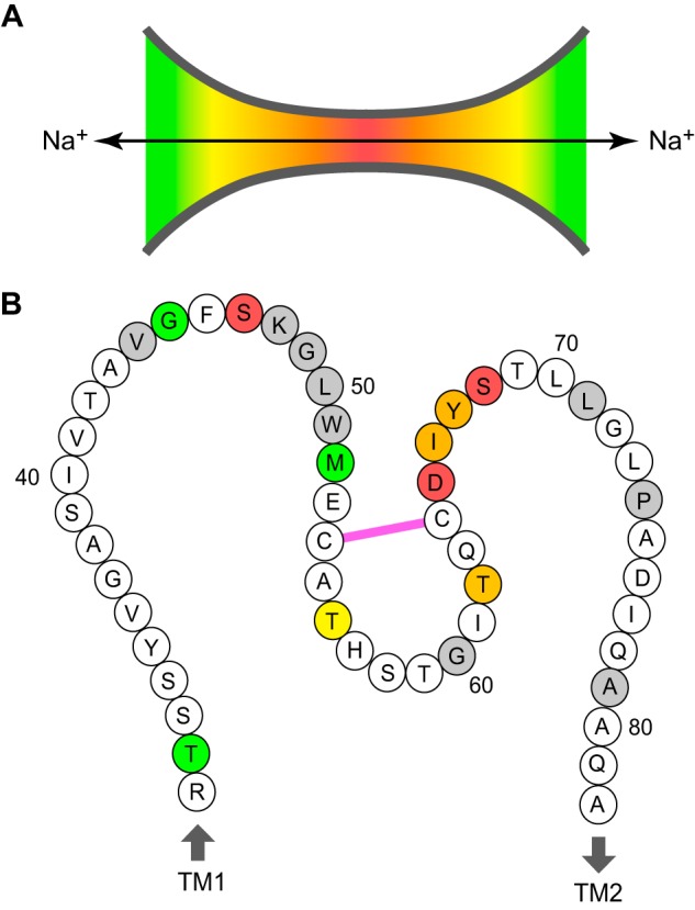 FIGURE 9.